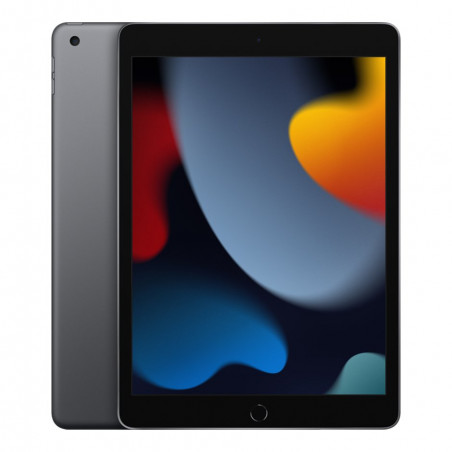 Apple iPad 10.2" (9 Gen) 256GB Wi-Fi (2021) Space Gray (MK2N3)