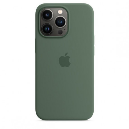 Чохол Apple iPhone 13 Pro Silicone Case with MagSafe Eucalyptus (MN673)