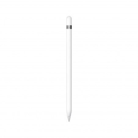 Apple Pencil (1st gen) (MQLY3) 2022