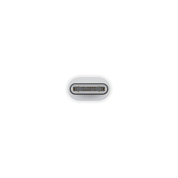 Адаптер Apple USB-C to Lightning Adapter (MUQX3)