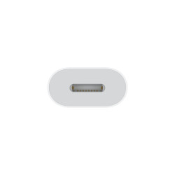 Адаптер Apple USB-C to Lightning Adapter (MUQX3)
