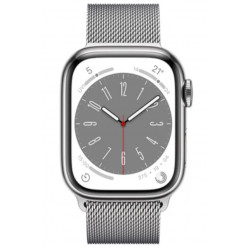 Ремінець WIWU Braided Stailness Steel Band 38/40/41 mm Silver (Wi-WB005)