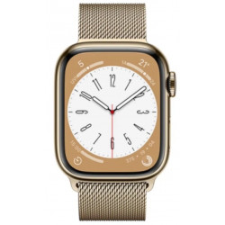 Ремінець WIWU Braided Stailness Steel Band 38/40/41 mm Gold (Wi-WB005)