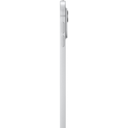 Apple iPad Pro (M4) 2024 13" 2TB Wi-Fi with Standard glass Silver (MVX93)