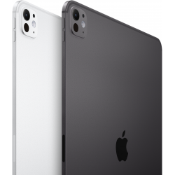 Apple iPad Pro (M4) 2024 13" 2TB Wi-Fi with Nano-texture glass Silver (MWRJ3)