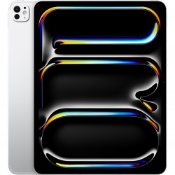 Apple iPad Pro (M4) 2024 13" 2TB Wi-Fi+4G with Standard glass Silver (MVY03)