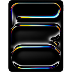 Apple iPad Pro (M4) 2024 13" 2TB Wi-Fi+4G with Nano-texture glass Space Black (MWT13)