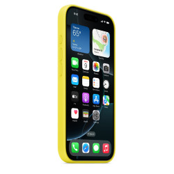 Чохол Apple iPhone 16 Pro Silicone Case with MagSafe Star Fruit (MYYQ3)