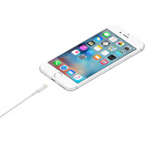 Кабель Apple Lightning to USB Cable (1m) (MUQW3)