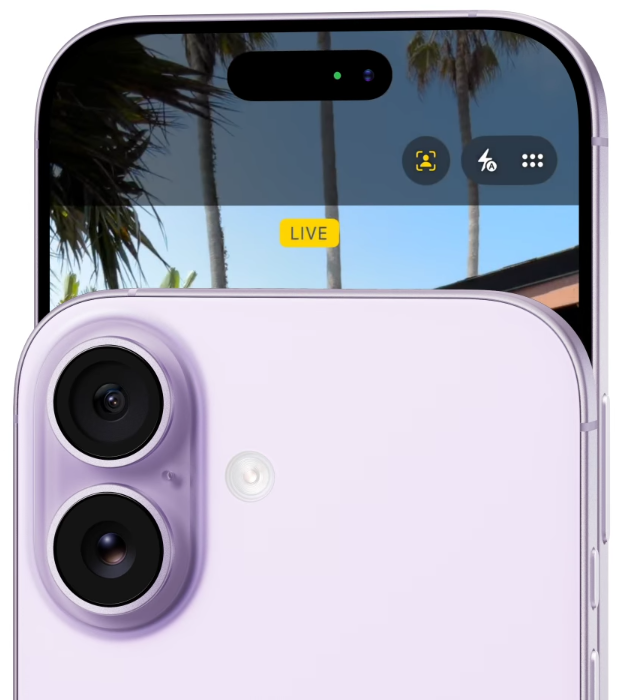 1.gif